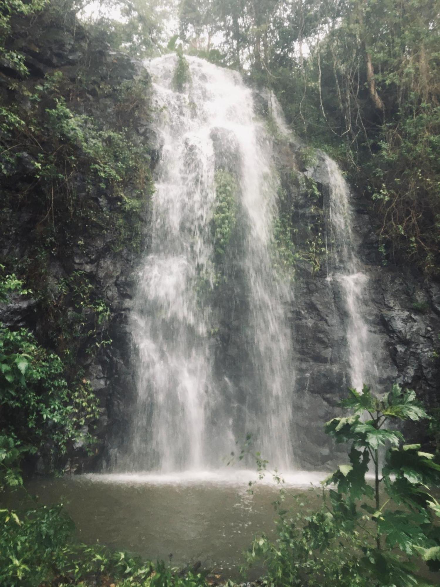 Nimbin Waterfall Retreat Екстер'єр фото