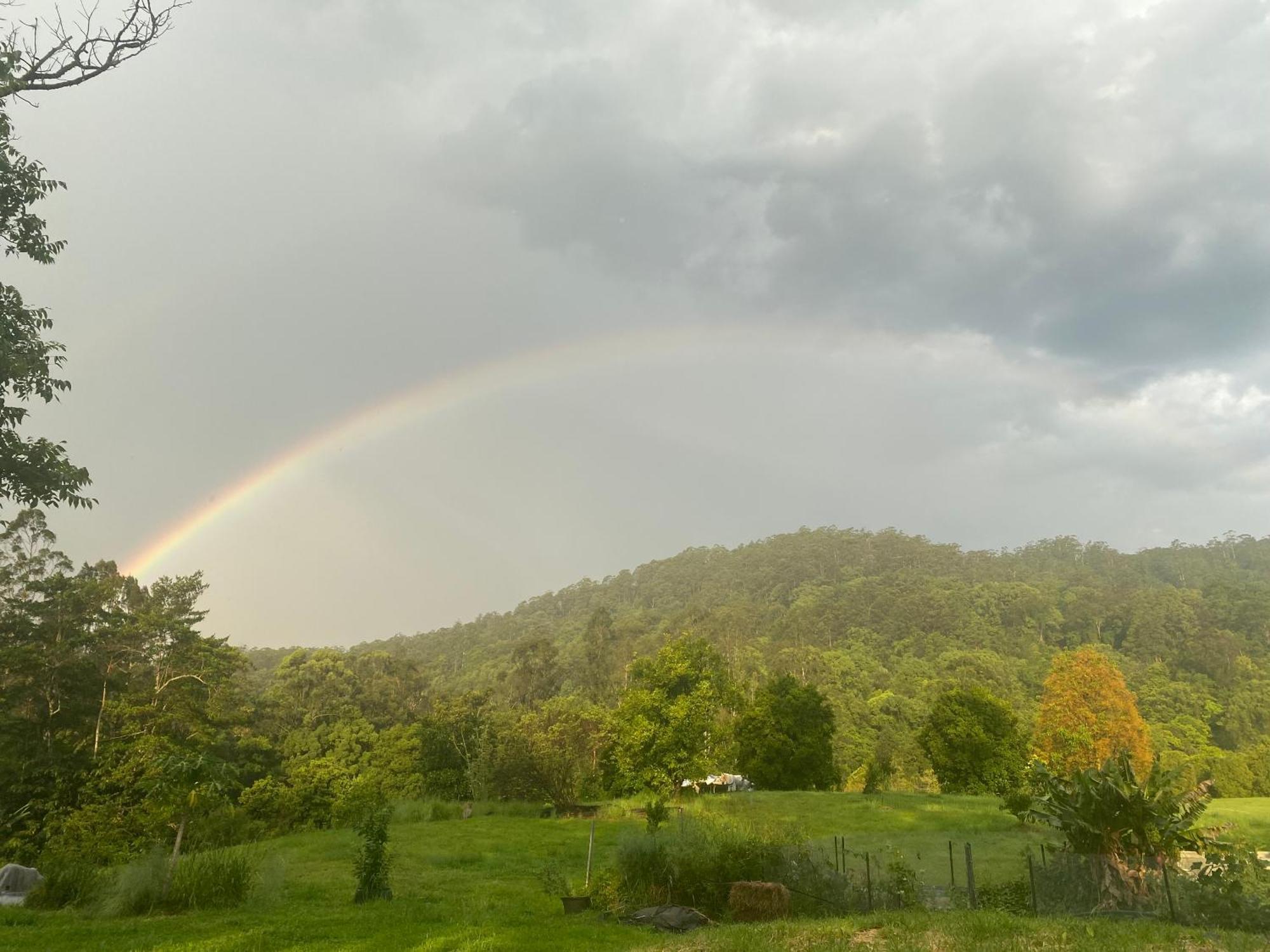 Nimbin Waterfall Retreat Екстер'єр фото