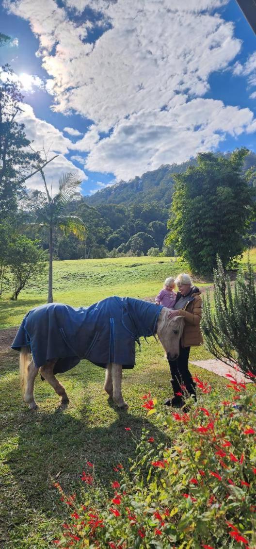Nimbin Waterfall Retreat Екстер'єр фото